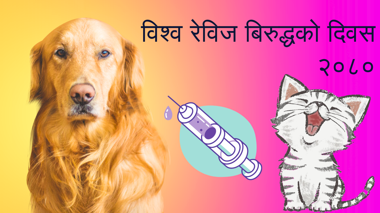 रेबिज बाहक जनावरहरूलाइ भ्याक्सिन लगाउनुनै उत्तम रोकथाम ।