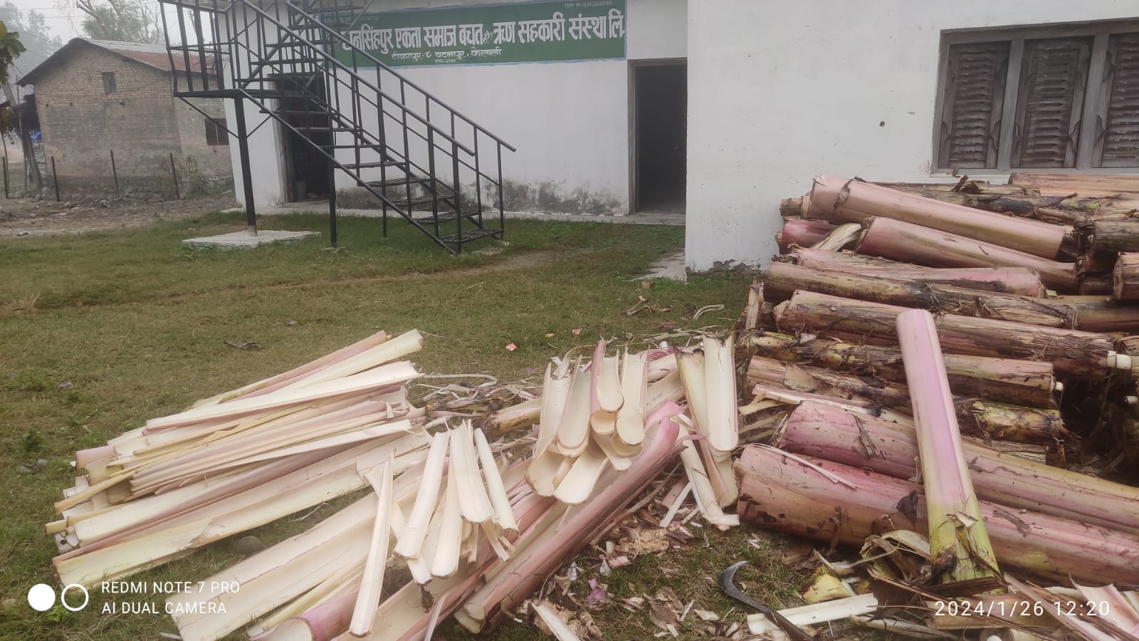 टीकापुरमा केरा थामकाे रेसा उत्पादन कार्य शुरु