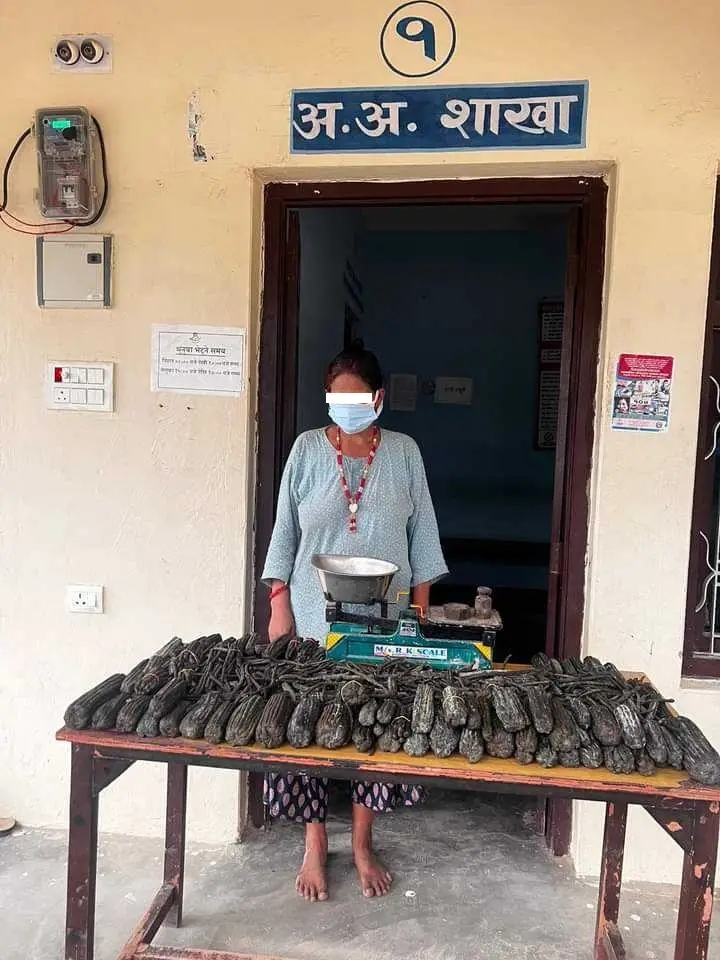 १६ किलो लागु औषध (चरेस) सहित महिला पक्राउ
