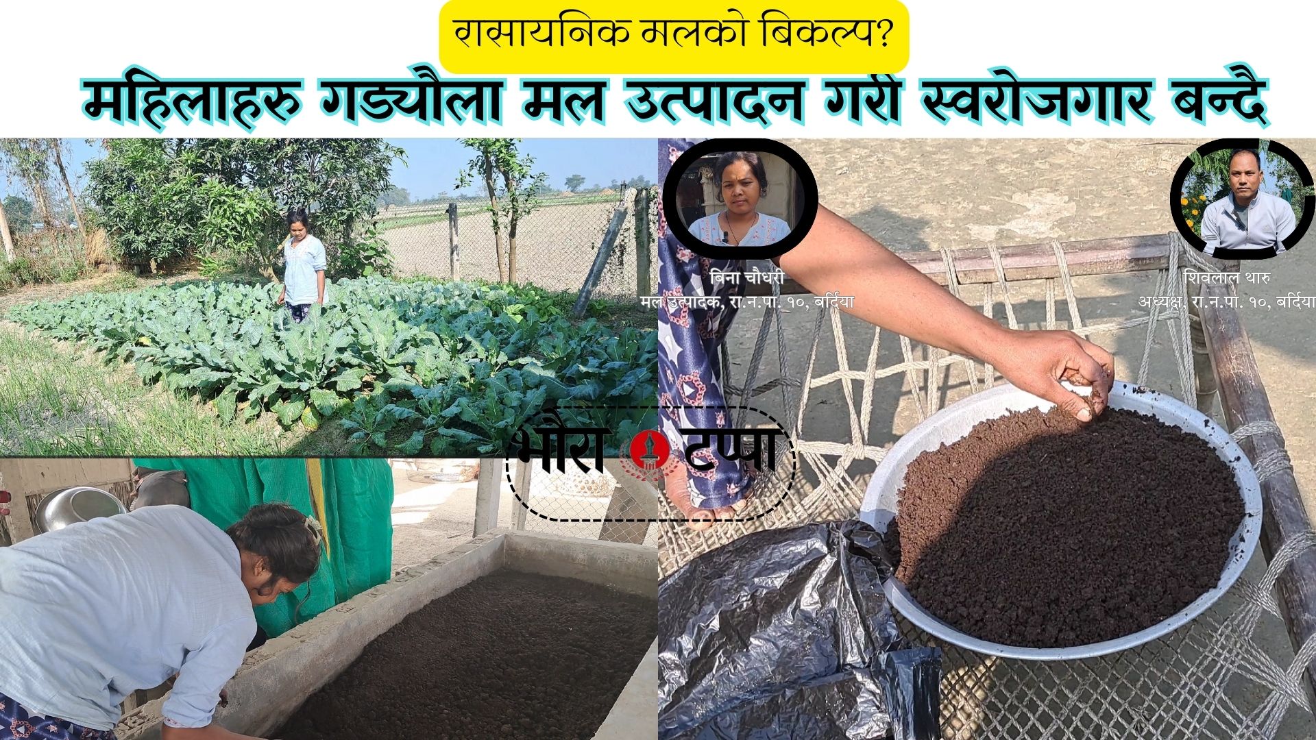 राजापुर मा गड्यौलामलको उत्पादन सुरु