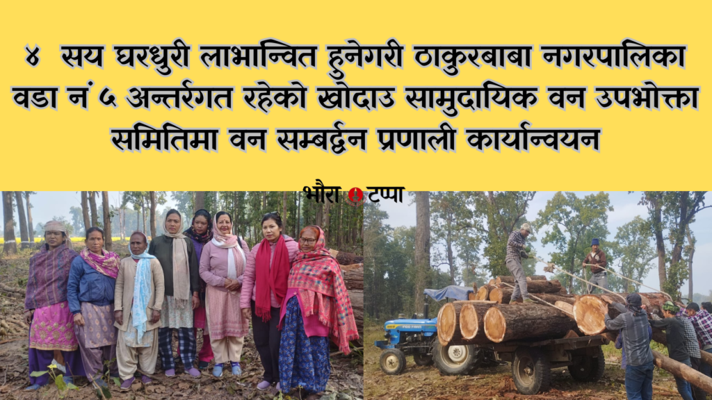 खोदाउ सामुदायिक वनमा वन सम्बर्द्वन प्रणाली कार्यान्वयन,&hellip;