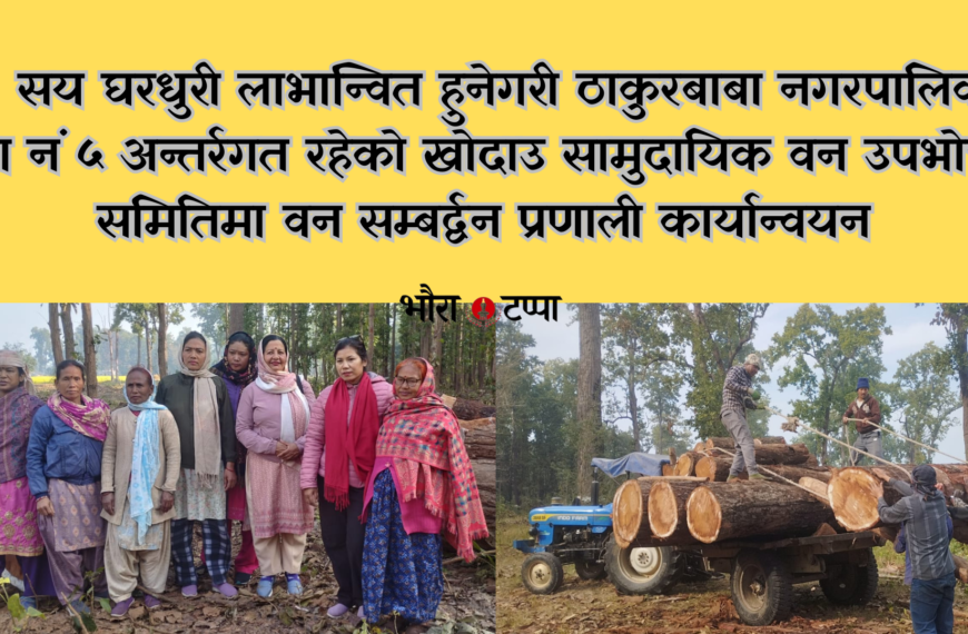खोदाउ सामुदायिक वनमा वन सम्बर्द्वन प्रणाली कार्यान्वयन, करिब ४ सय&hellip;