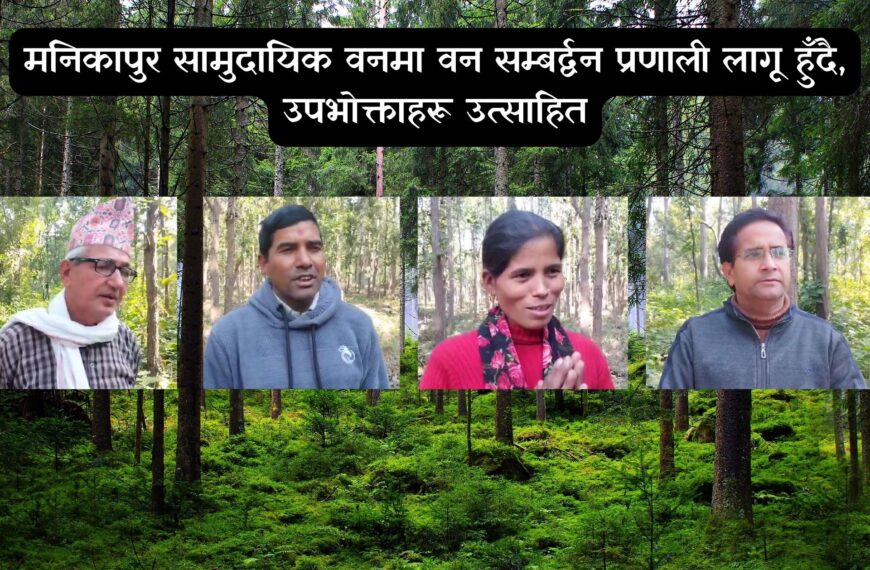 मनिकापुर सामुदायिक वनमा वन सम्बर्द्वन प्रणाली लागू हुँदै, उपभोक्ताहरू उत्साहि