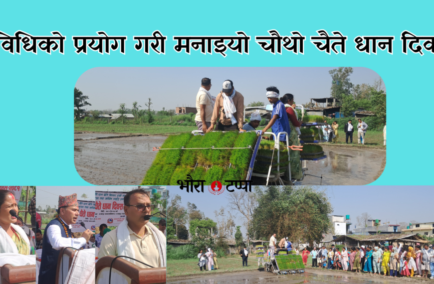 सरोकारवालाहरु बिच मनाइयो चैते धान दिवस