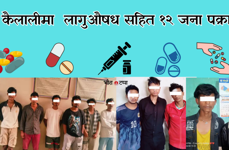 कैलालीमा लागुऔषध सहित १२ जना पक्राउ