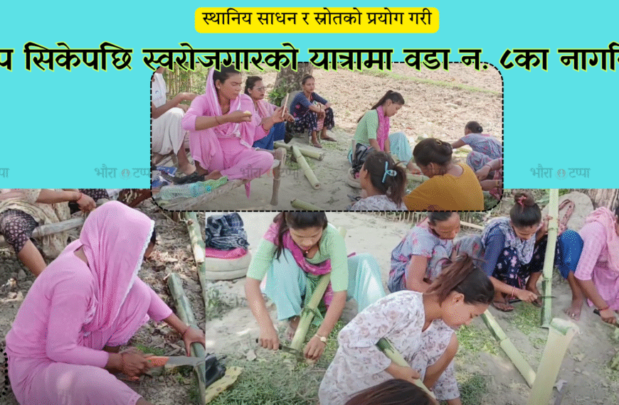 राजापुर वडा नं ८ मा बेतबास तालिमपछि रोजगारीको नयाँ ढोका&hellip;