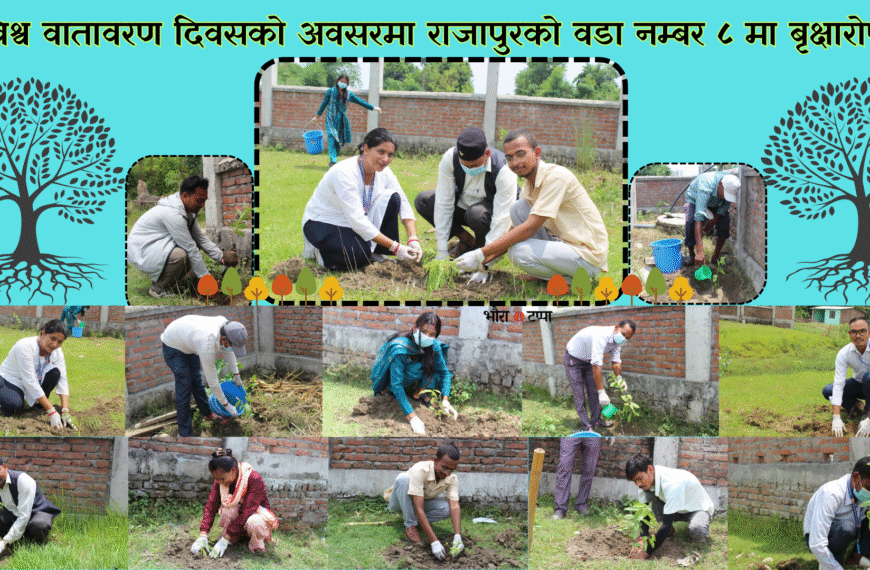 विश्व वातावरण दिवसको अवसरमा राजापुरको वडा नम्बर ८ मा बृक्षारोपण