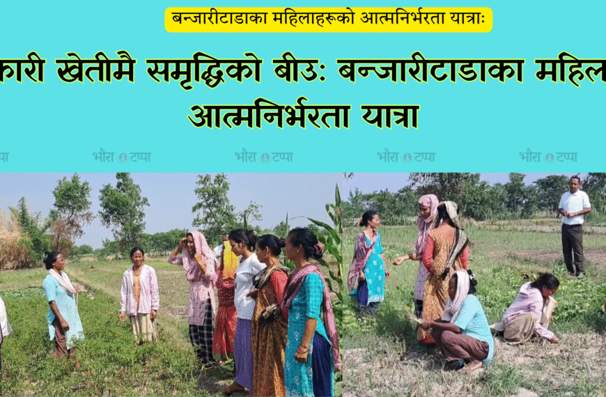 बेमौसमी तरकारी खेतीबाट आत्मविश्वास र आम्दानीमा फड्को