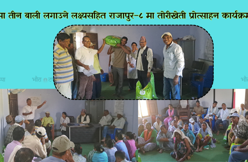राजापुर–८ मा किसानको आयआर्जन वृद्धि अभियानः ५० प्रतिशत अनुदानमा तोरीको&hellip;