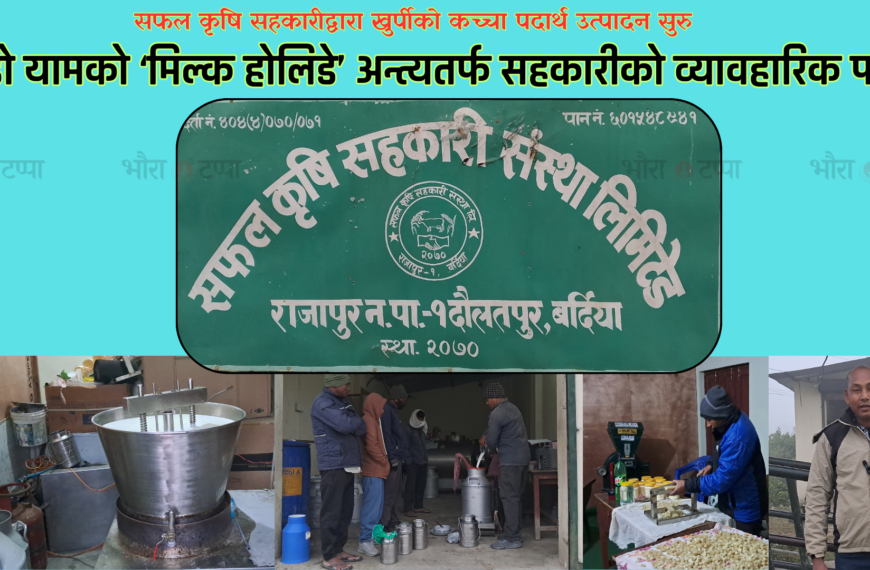 सफल कृषि सहकारीद्वारा खुर्पीको कच्चा पदार्थ उत्पादन सुरु