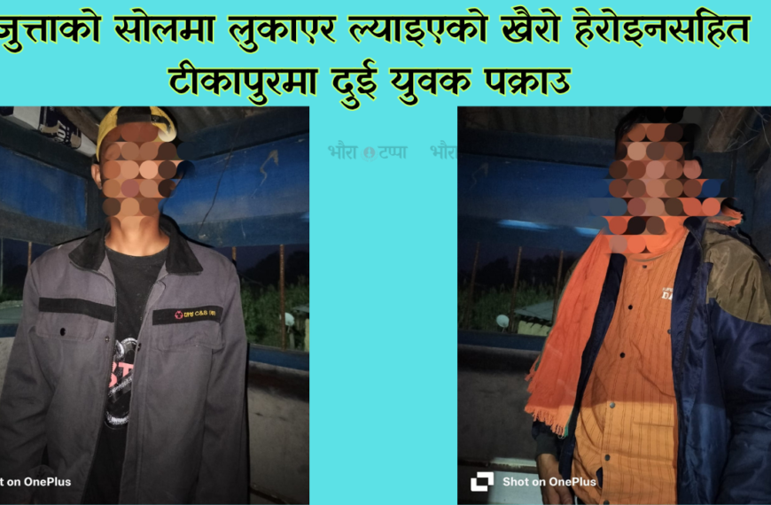 जुत्ताको सोलमा लुकाएर ल्याइएको खैरो हेरोइनसहित टीकापुरमा दुई युवक पक्राउ