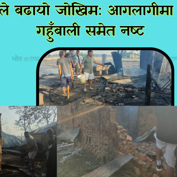 गहुँ काटेको खेतबाट सुरु भएको आगोले सिमरा त्रसित