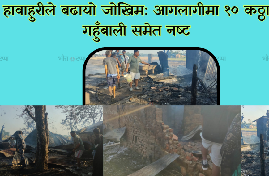 गहुँ काटेको खेतबाट सुरु भएको आगोले सिमरा त्रसित