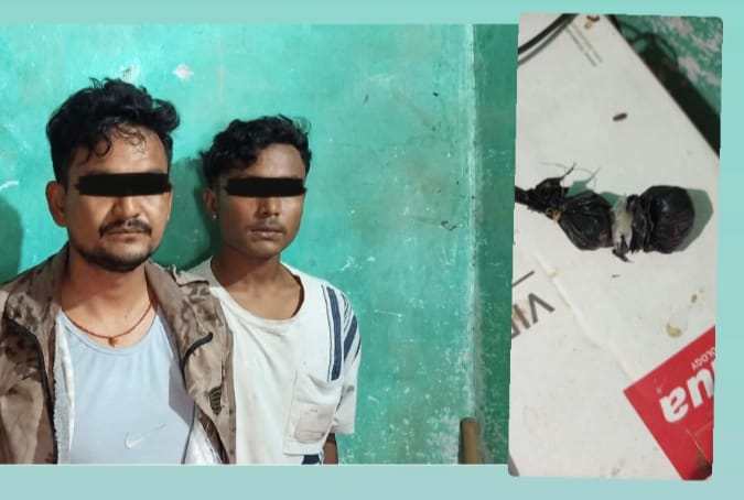 खक्रौलामा १९ ग्रामभन्दा बढी खैरो हेरोइनसहित दुई युवा पक्राउ