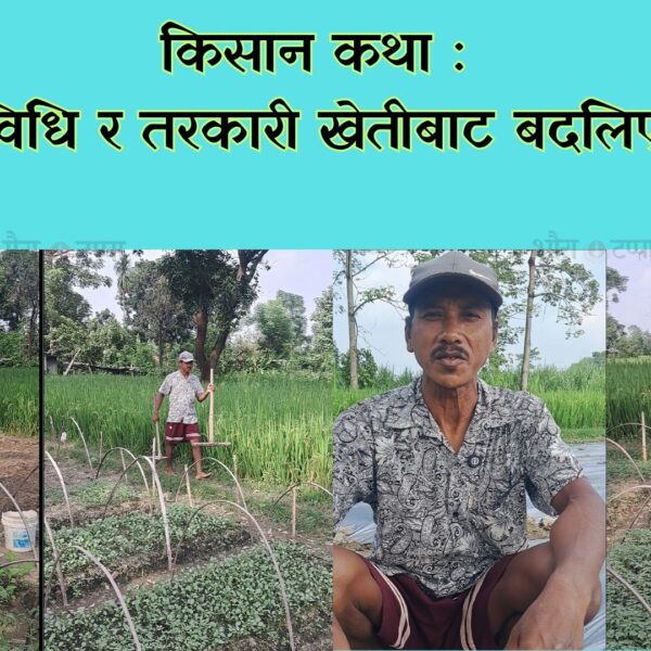 किसान कथाः मेहनत, प्रविधि र तरकारी खेतीबाट बदलिएको जीवन